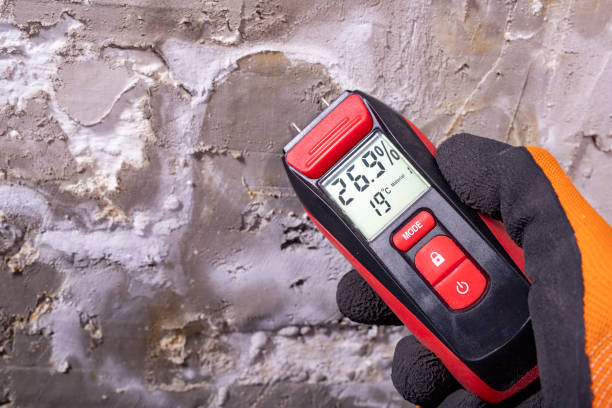 Best Post-Flood Mold Remediation in Harleigh, PA